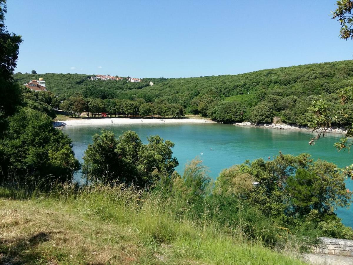 Apartament Mirta 1 Pavicini Zewnętrze zdjęcie