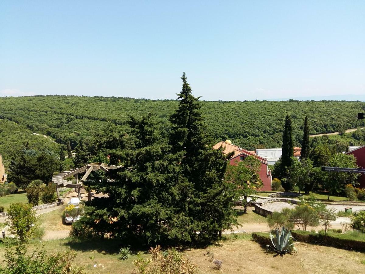 Apartament Mirta 1 Pavicini Zewnętrze zdjęcie